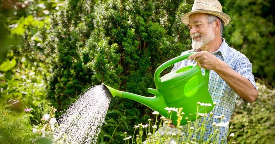 Vydatná, ale méně častá závlaha