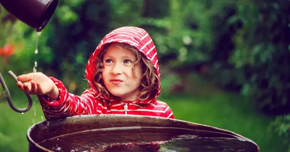 Zachytávání dešťové vody