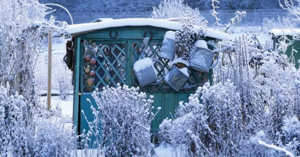 Zahrada s altánem v zimě