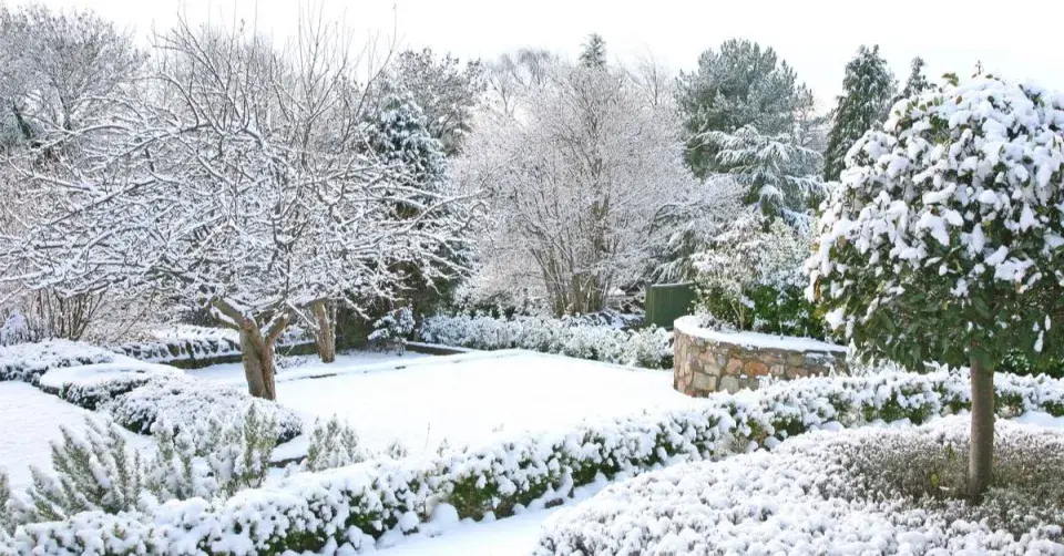 Zasněžená zahrada