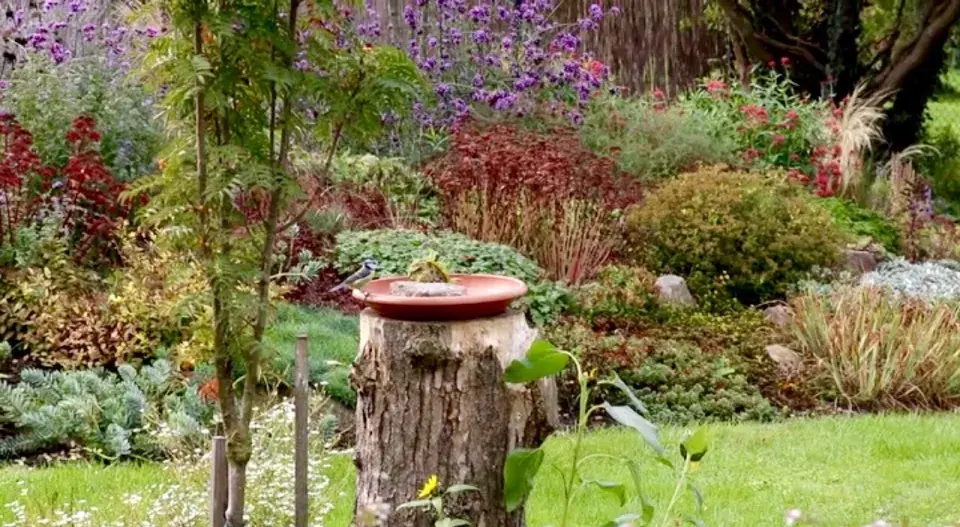 Sýkorka na krmítku