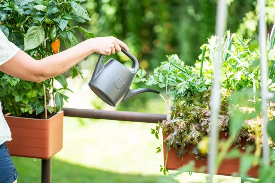 Zálivka zeleniny v truhlících na balkoně