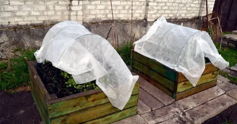 Vyvýšené záhony zakryté bílou netkanou textilií