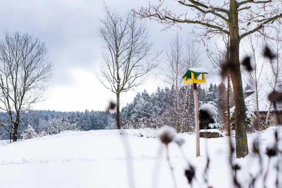 Ptačí krmítko v zasněžené zahradě