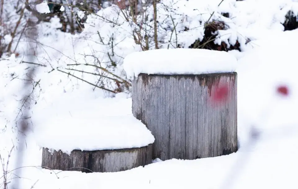Dřevěné špalky na zahradě