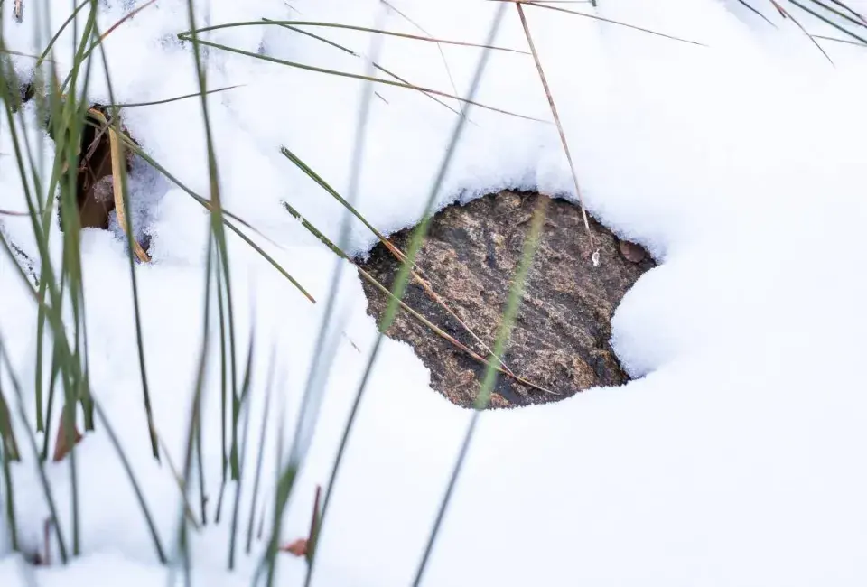 Zasněžená zahradní cesta