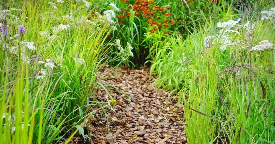 Pěšina pokrytá drcenou kůrou