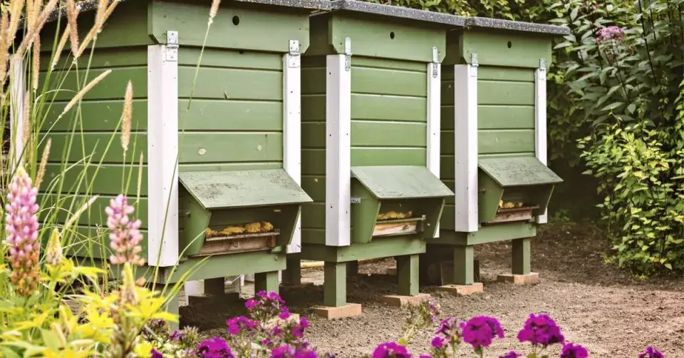 Včelí úly na zahradě