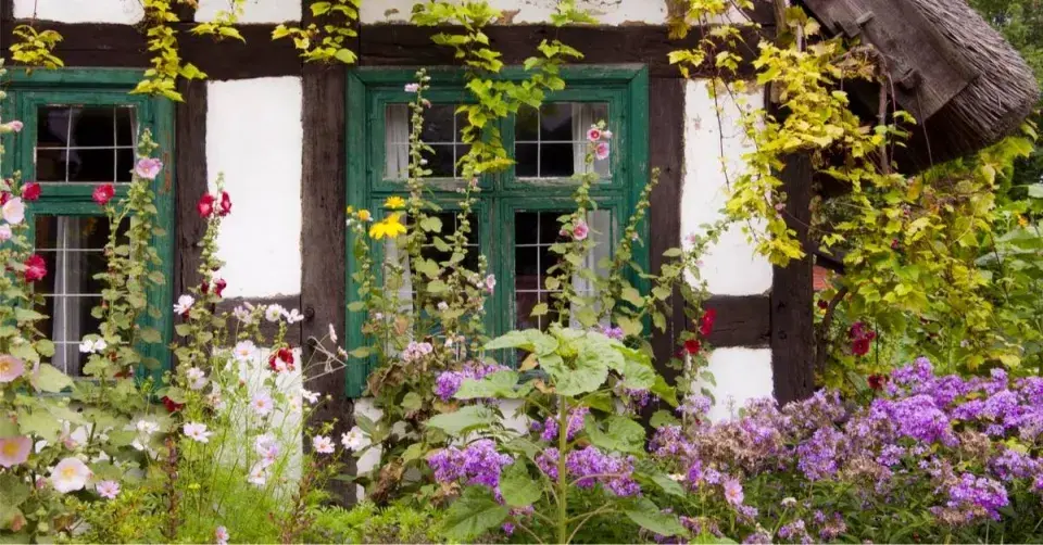 Venkovská zahrada v Anglii