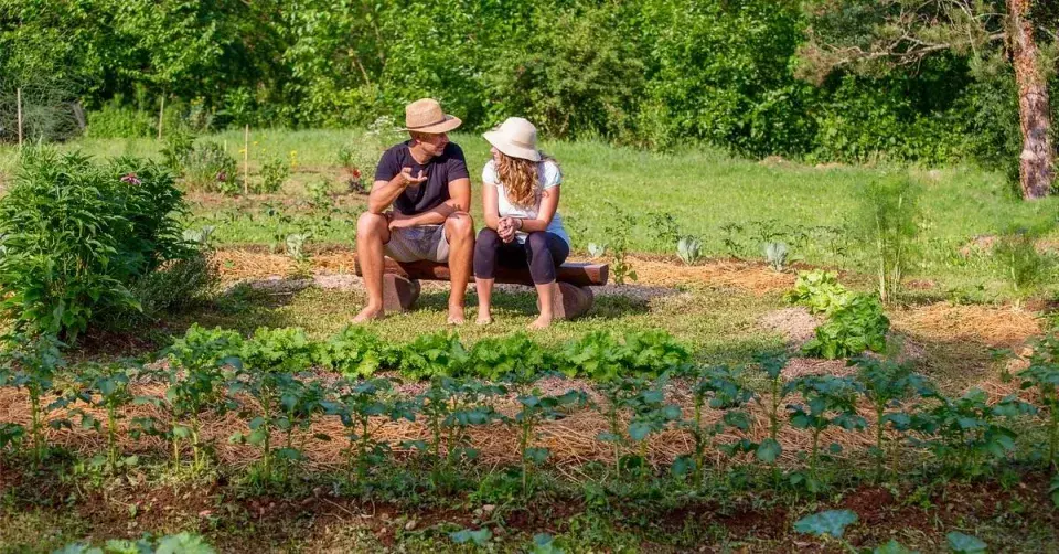 Pěstitelé v zeleninové zahradě