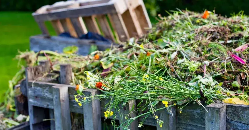 Bioodpad na zahradě