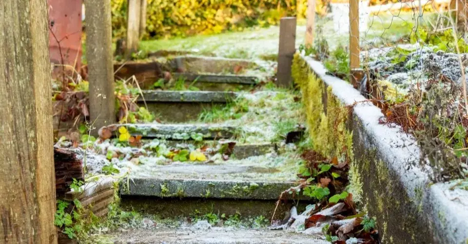 Schody v podzimní zahradě