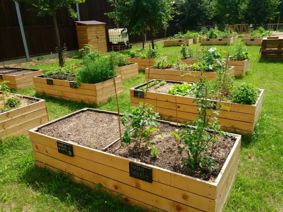 Zvýšené záhony v komunitní zahradě