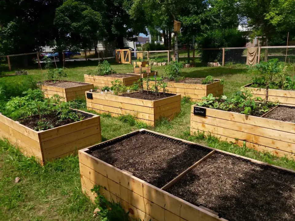Zvýšené záhony v komunitní zahradě