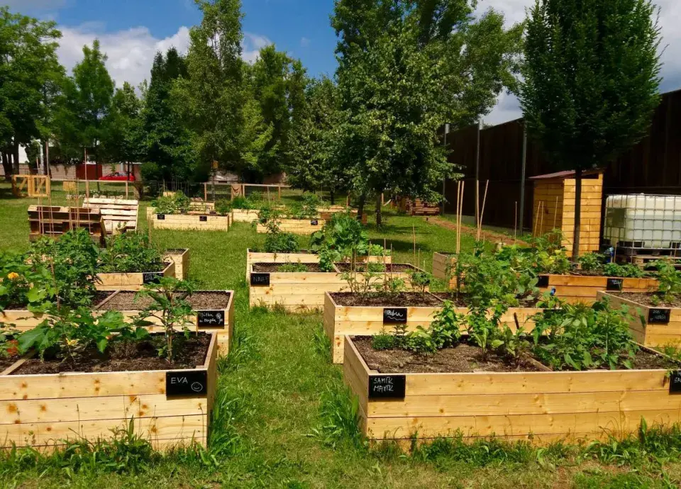 Zvýšené záhony v komunitní zahradě