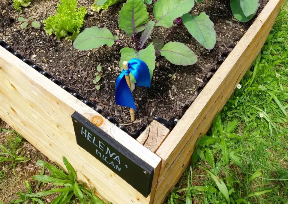 Praporek ve zvýšeném záhonu