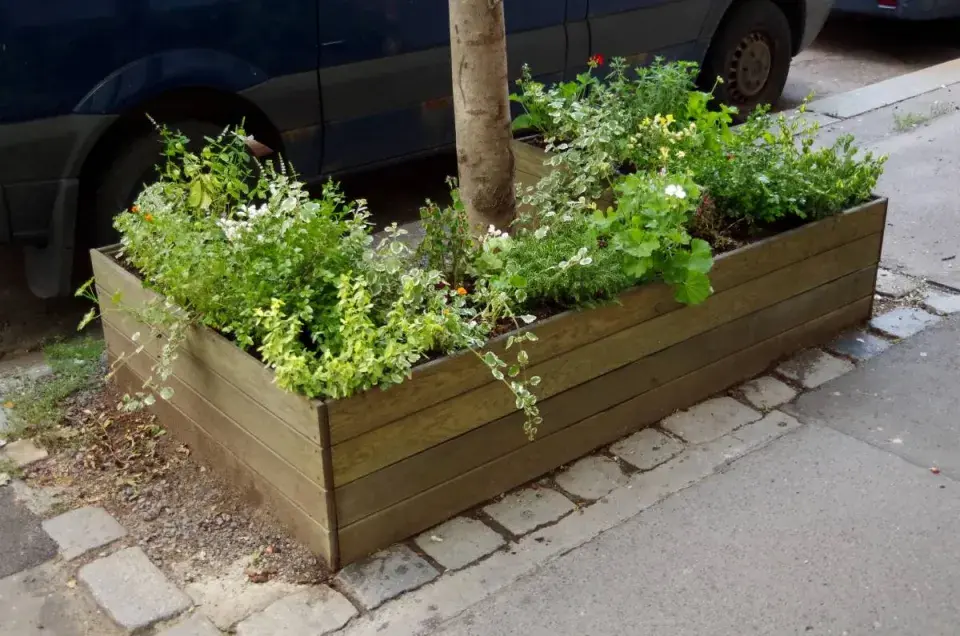 Vyvýšený záhon kolem stromu