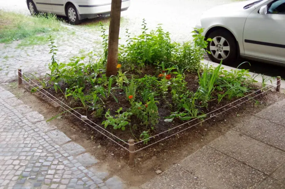 Osázené rabátko kolem stromu