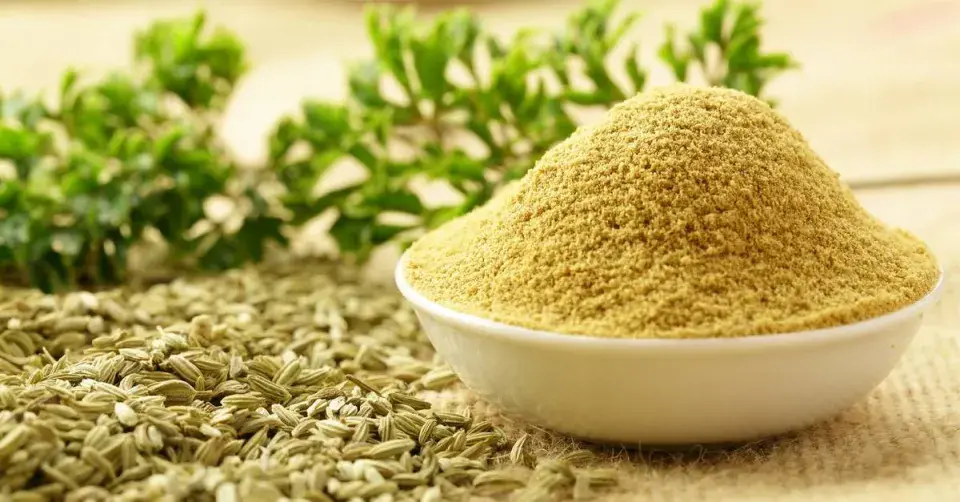 Celá i mletá semena fenyklu