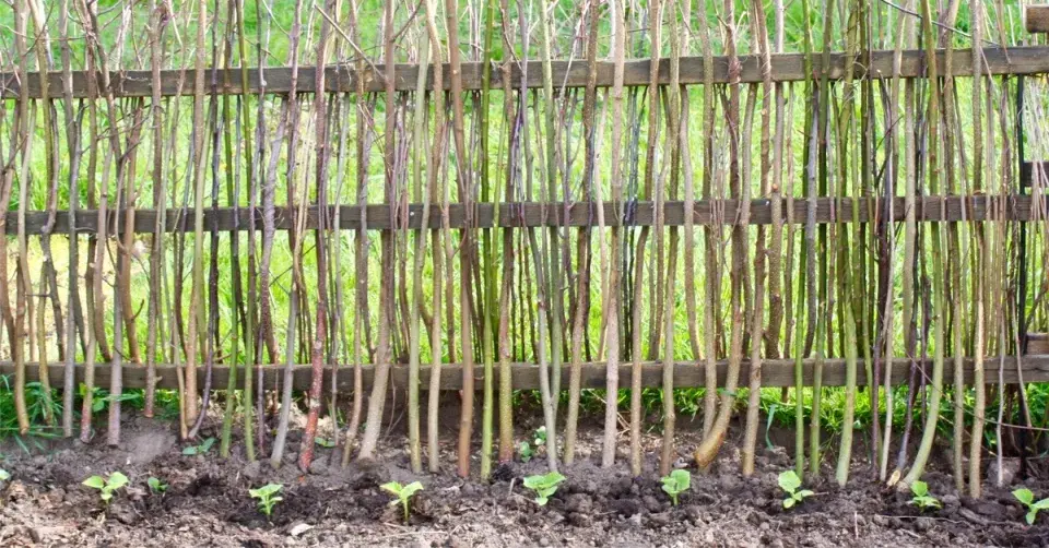 Plot z lískový prutů