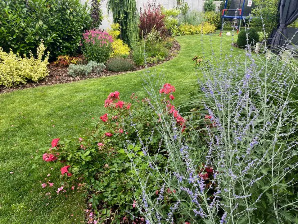 Barevné trvalkové záhony