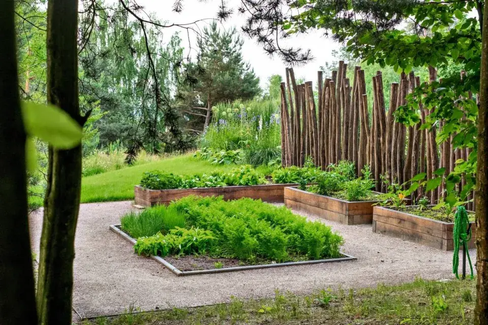 Zeleninové a bylinkové záhony