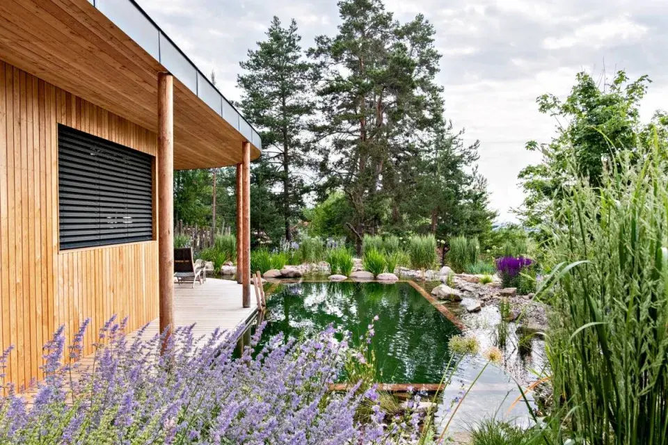 Biotop – koupací jezírko