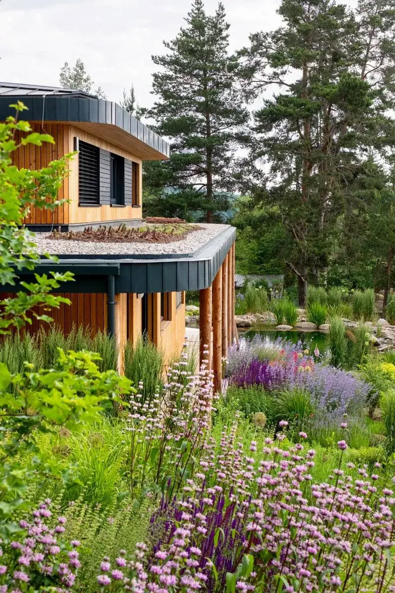 Zelená střecha s extenzivní výsadbou