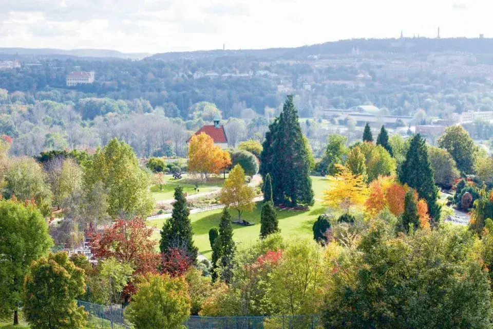 Podzim v botanické zahradě