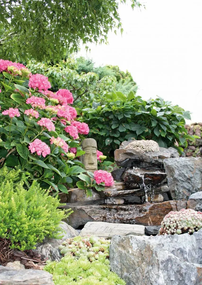 Rozkvetlá hortenzie a malý vodopád