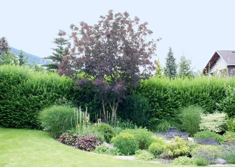 Studna ukrytá v záhonu