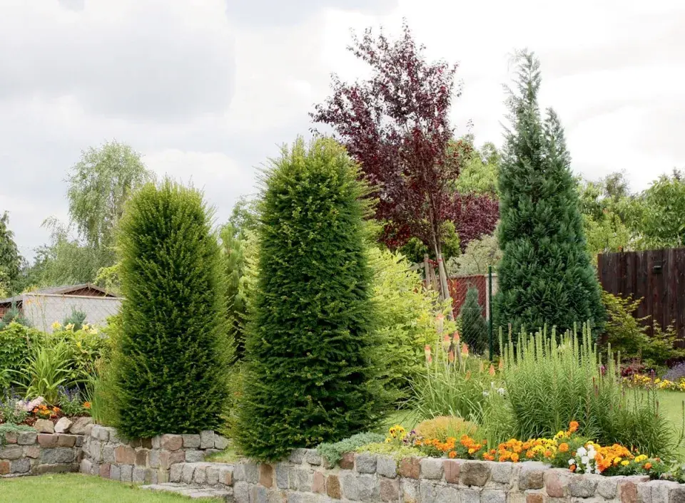 Zvýšený terén v zahradě