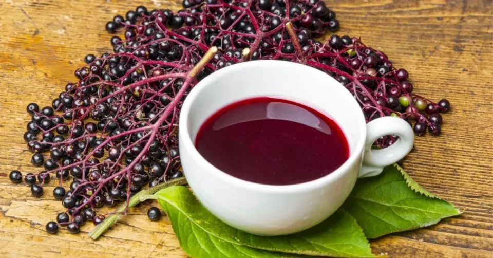 Šťáva z plodů černého bezu