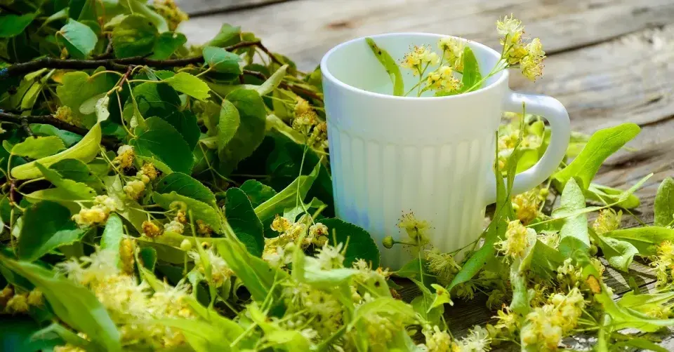 Lipový květ a bílý hrnek na čaj