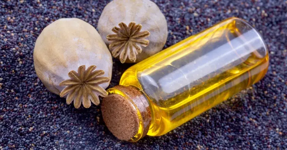 Olej a semena máku setého