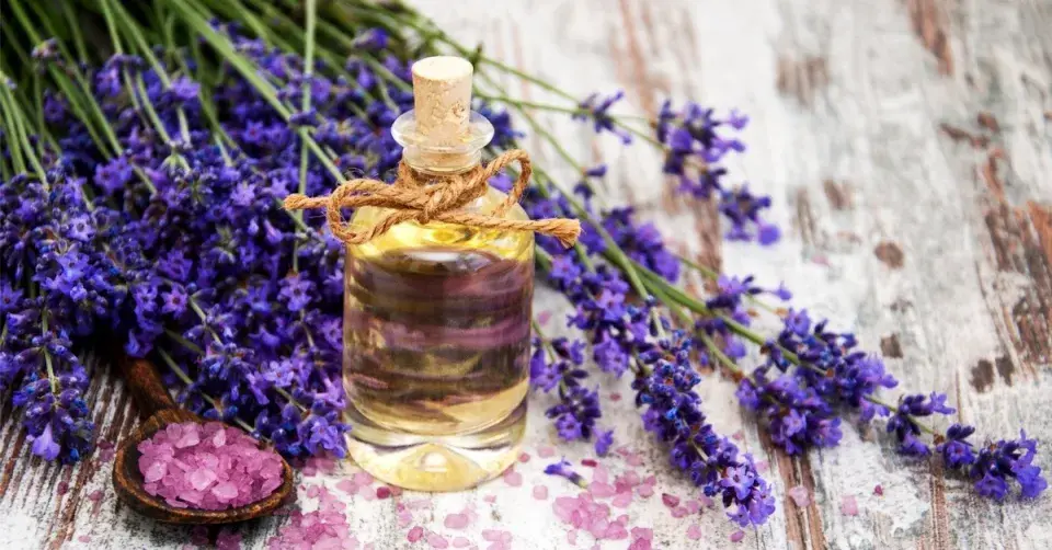 Květy levandule a levandulový olej