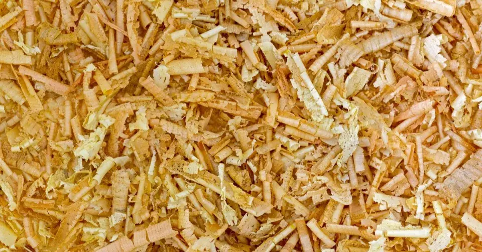 Hobliny z borovice limby