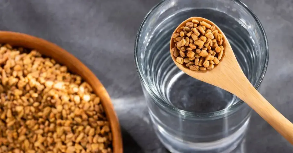 Pískavice řecké seno (Trigonella foenum-graecum)