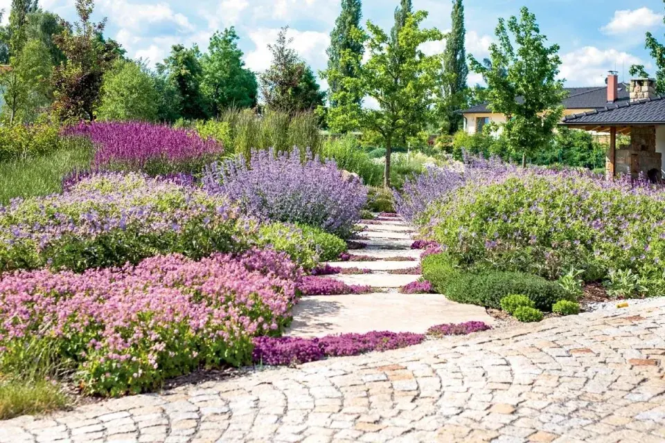 Kvetoucí záhony sladěné do fialových odstínů