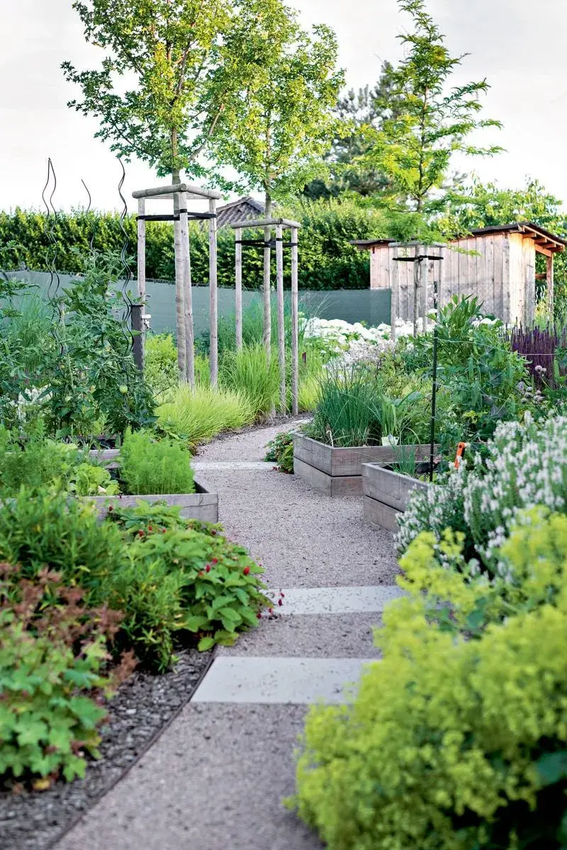 Mlatová pěšina mezi záhony