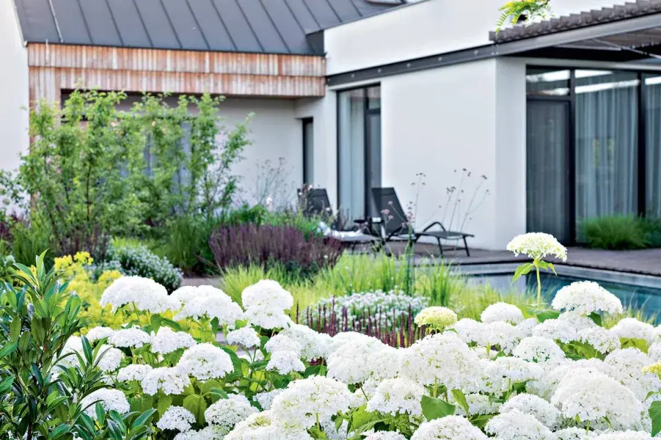 Rozkvetlé trvalky u bazénu