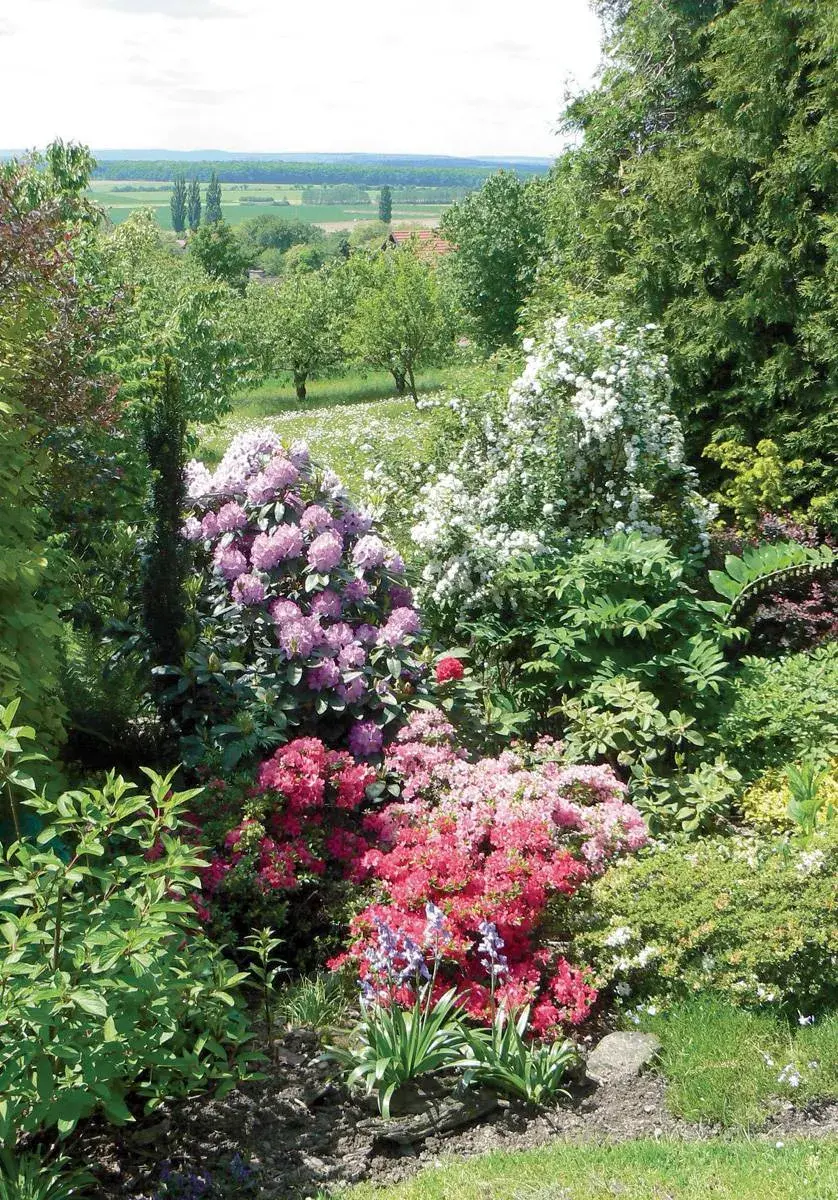 Výhled ze zahrady do údolí