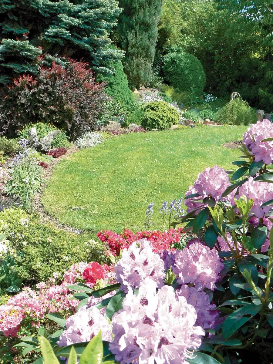 Clona z tújí a jiných dřevin