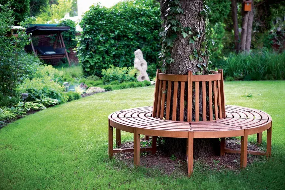 Lavička kolem kmene smrku