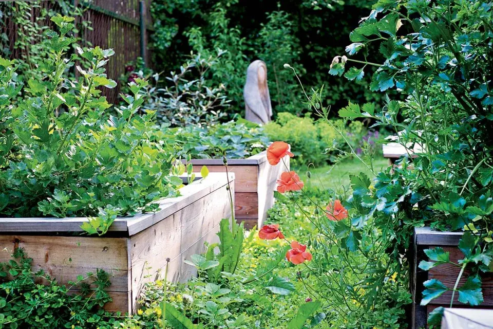 Zvýšené záhony s bylinkami a zeleninou