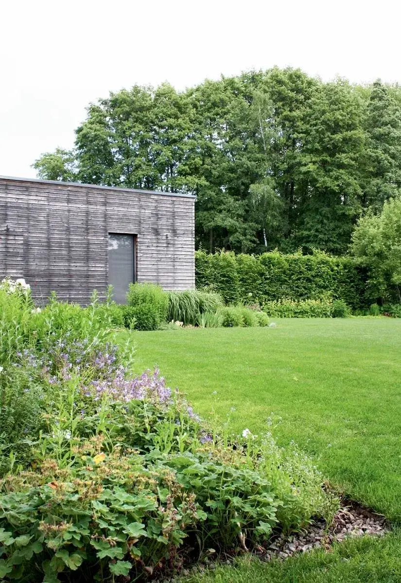 Trávník a záhony za domem