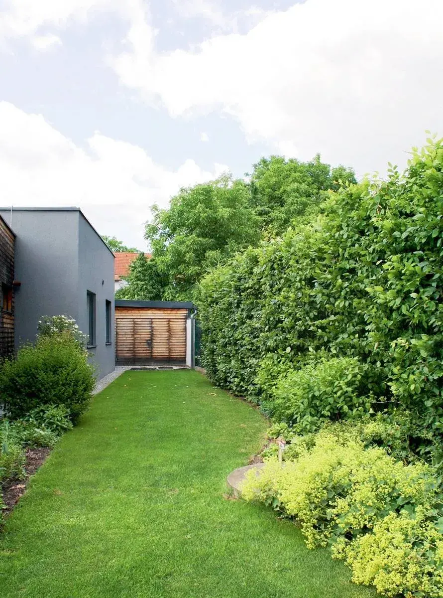 Prostor mezi domem a živým plotem