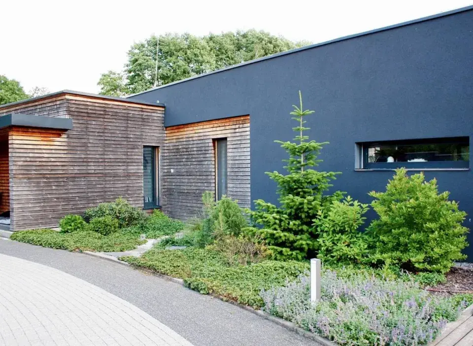 Předzáhrádka s jehličnany