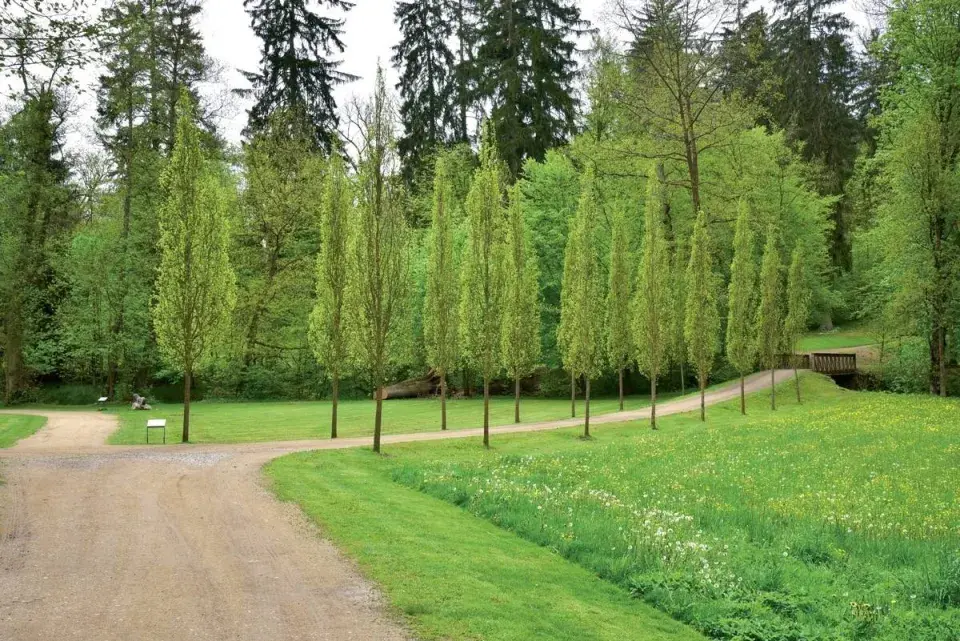 Louky ve vlašimském parku