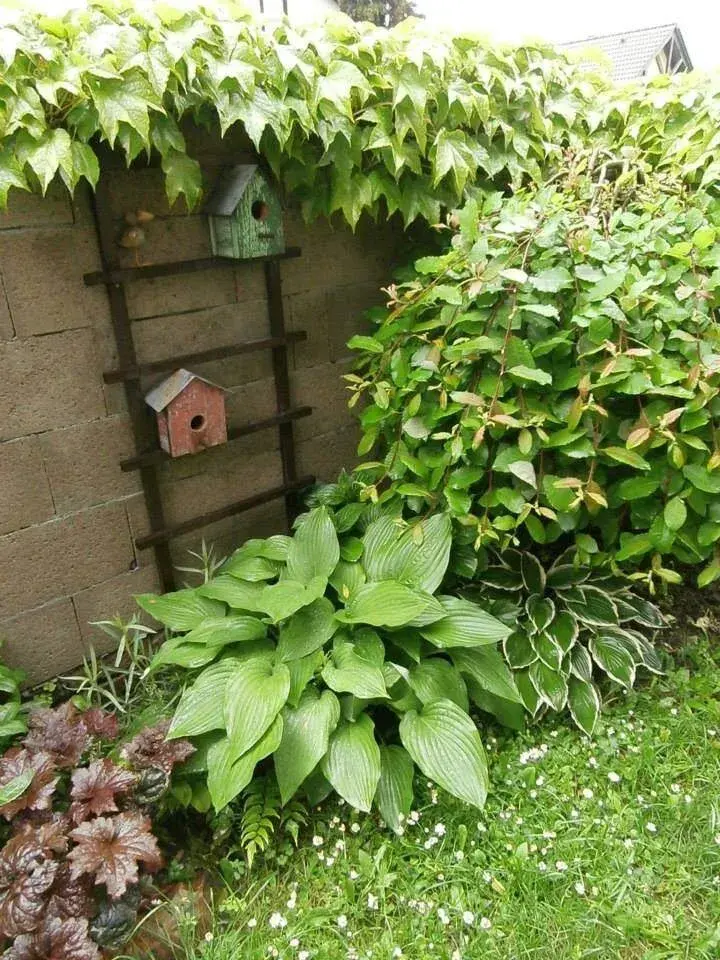 Žebřík s ptačími budkami